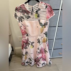 Ted Baker pale pink lemon and flowers dress TB size 4, US 10